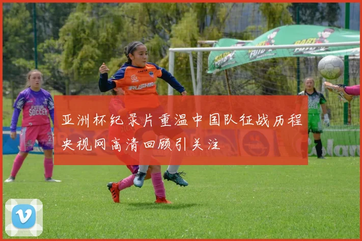 亚洲杯纪录片重温中国队征战历程央视网高清回顾引关注