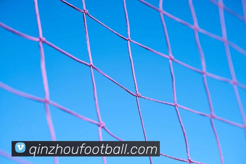 环球体育官网首页入口全站App